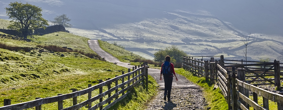 Vati Stöhnt Mischung Walking From East Coast To West Coast Sind